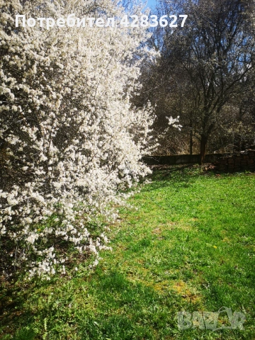 парцел УПИ Банкя кв.Иваняне