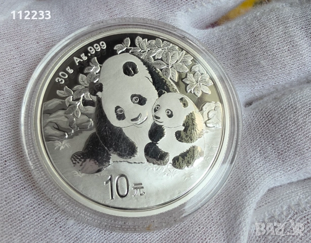 Панда 2024 сребърна монета