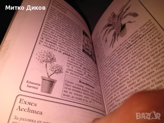 Стайни растения Жечка Георгиева книга , снимка 6 - Езотерика - 42734836