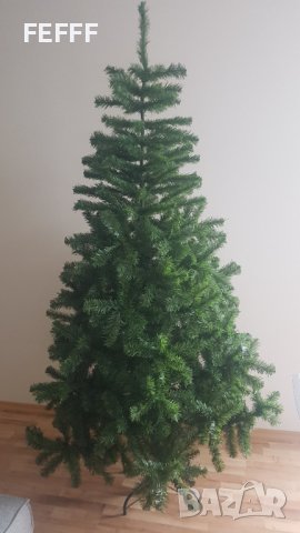 елха, снимка 1