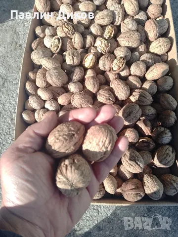 Орехи на черупка и ядка