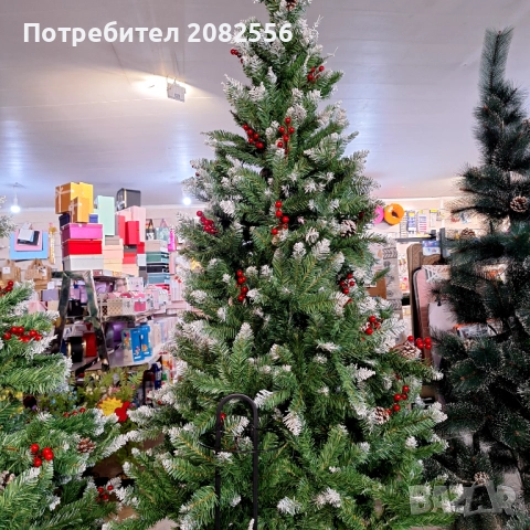 Коледна елха 