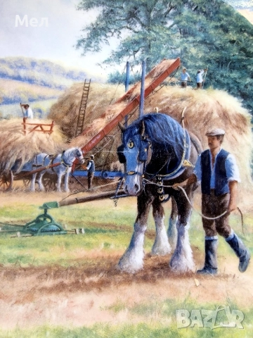 Декоративна чиния Royal Doulton , снимка 3 - Декорация за дома - 52256032