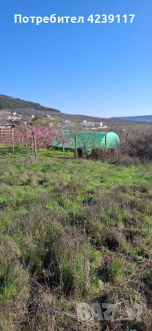 Собственик продава Дворно Място в с. Рогачево, снимка 6 - Парцели - 54112941