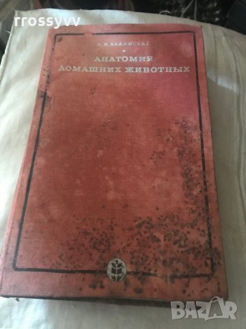 Анатомия домашних животных