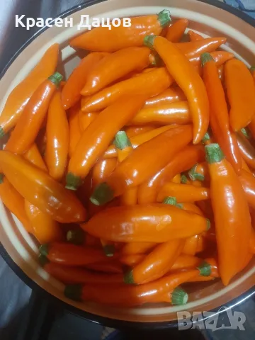 Пукани сладки рибки , снимка 5 - Домашни продукти - 56061711