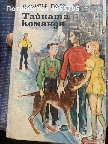 юношески роман „Тайната команда