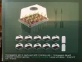 Комплект 10 разсадници / мини оранжерии за разсад, 12 гнезда, висок дишащ капак, НОВ, снимка 2
