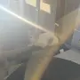 Котенце на 2 месеца и половина, снимка 1