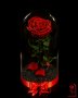 Романтичен подарък за приятелка / ЕСТЕСТВЕНА вечна роза в стъкленица / Подарък за Рожден Ден на Жена, снимка 10