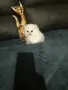 ТОП КОТЕНЦА НА ТОП ЦЕНА, снимка 11