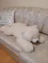 ПЛЮШЕНА ИГРАЧКА ГОЛЯМА МЕЧКА, снимка 4