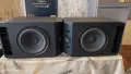 Тонколони Bose 301 series IV, снимка 2