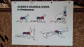 Пластмасови табла по гимнастика, снимка 8