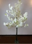 Декоративно дърво вишна бяло, снимка 1