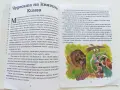 Приказки на славянските народи книга 2 - Вълшебното цвете - 1993г., снимка 4