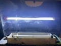 Продавам фабричен аквариум RS420B, снимка 4