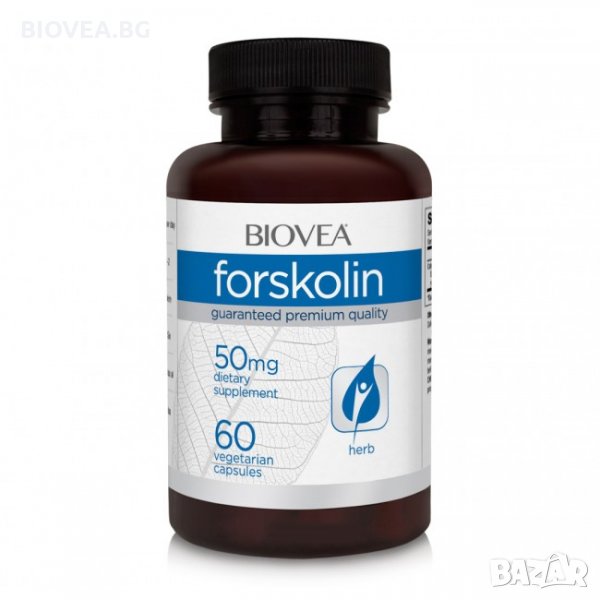 Хранителна добавка Biovea FORSKOLIN 50mg 60 Capsules, снимка 1