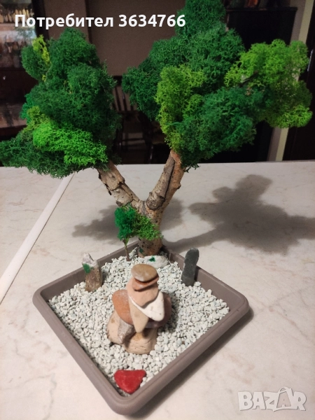 продавам бонзаи, снимка 1