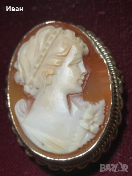 Камея - рапан , снимка 1