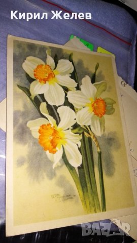 ЛОТ 3 СТАРИ ФЛОРАЛНИ ПРАЗНИЧНИ ПОЩЕНСКИ КАРТИЧКИ НРБ СССР 6707, снимка 9 - Филателия - 38729858