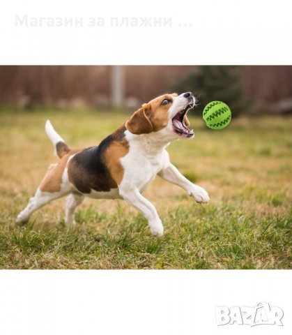 ДЕНТАЛНА ИГРАЧКА ТОПКА 5 И 7 СМ. - код 2731, снимка 7 - За кучета - 34162154