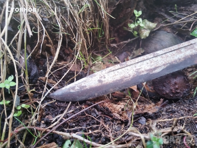 Нож на дневалния БГ., снимка 4 - Антикварни и старинни предмети - 48788060