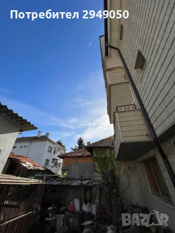 Премахване и кастрене на опасни дървета, снимка 7 - Други услуги - 49334998