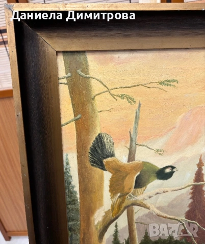 Рисувана картина на фазер, снимка 9 - Картини - 54205579