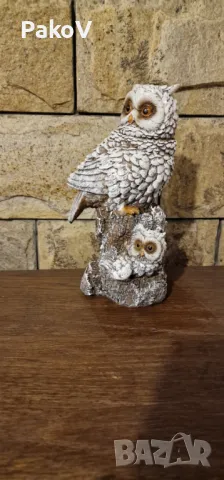 Бухал Двойка