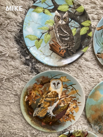 Декоративни порцеланови чинии Coalport, снимка 2 - Декорация за дома - 52324685