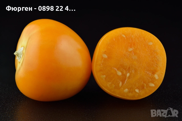 Физалис (Мехунка) – Студоустойчива разновидност, снимка 5 - Разсади - 52229433