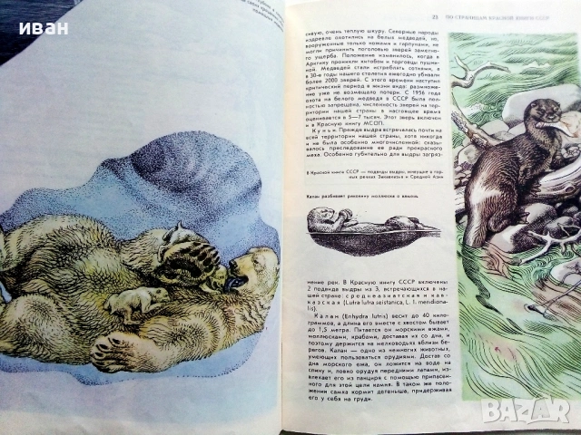 Они должны жить - Млекопитающие - М.В.Черкасова - 1982г., снимка 5 - Енциклопедии, справочници - 53111114