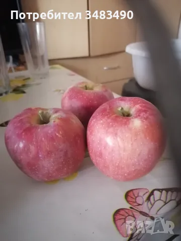 Продавам ябълки и домашен оцет