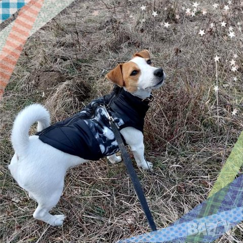 Зелено, синьо, червено и черно яке за куче. Грейка за куче. Якета за кучета. Кучешки дрехи. Елек, снимка 7 - За кучета - 34450648