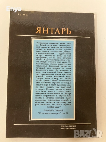 Янтарь - З.Фракей, снимка 7 - Специализирана литература - 52061654