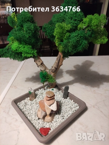 продавам бонзаи