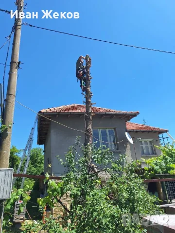 Премахване на опасни дървета, косене и почистване