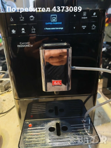 melita caffeo passione