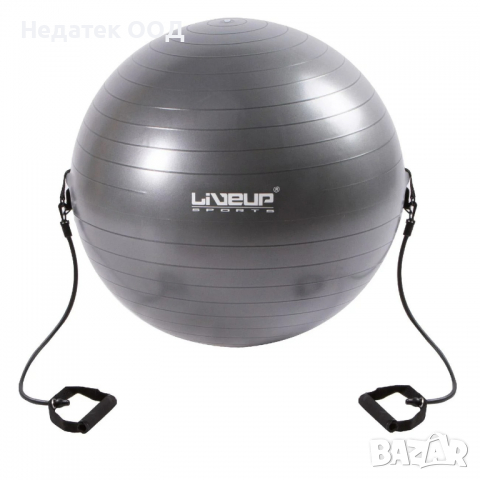Фитнес топка с дръжки LiveUp, 65 см, сив
