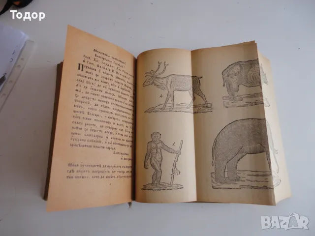 Стара книга Рибен Буквар Петър Берон 1964 , снимка 8 - Колекции - 48423366