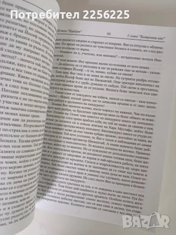 Ятаган и меч ( трета част) - Хайдут, снимка 8 - Художествена литература - 56531929