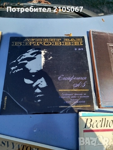 Грамофонни плочи, снимка 7 - Грамофонни плочи - 54255804