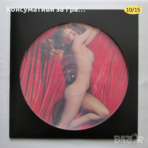 LP Немски ДИСПЛЕЙ за Picture Disc 12" Голяма Рисувана грамофонна плоча тип Картина, снимка 6 - Samsung - 36305951