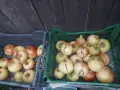 Нар домашен за сок, снимка 3