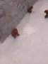 Tyi Mini Pydel Sladyri, снимка 18