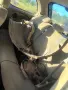 nisan micra за части, снимка 17