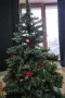 Коледно. дърво .., снимка 1