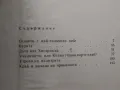 Георги Струмски "Художникът и слънцето", снимка 8