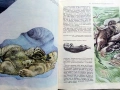 Они должны жить - Млекопитающие - М.В.Черкасова - 1982г., снимка 5
